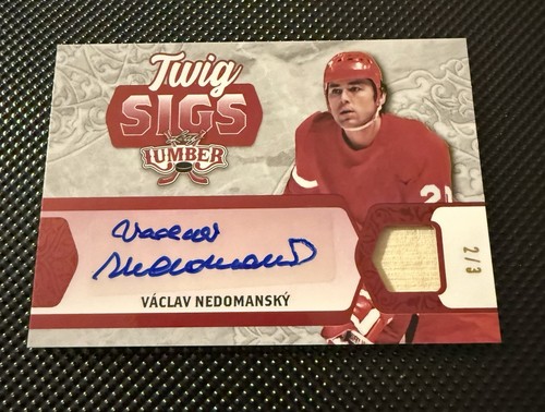 Vaclav nedomansky auto 3 - vaclav,