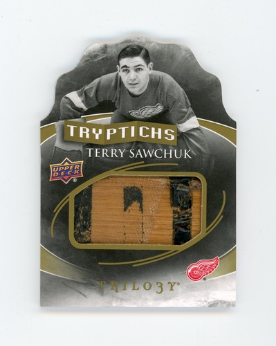 Terry sawchuk 2015 upper - terry,
